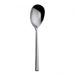 Salad Spoon